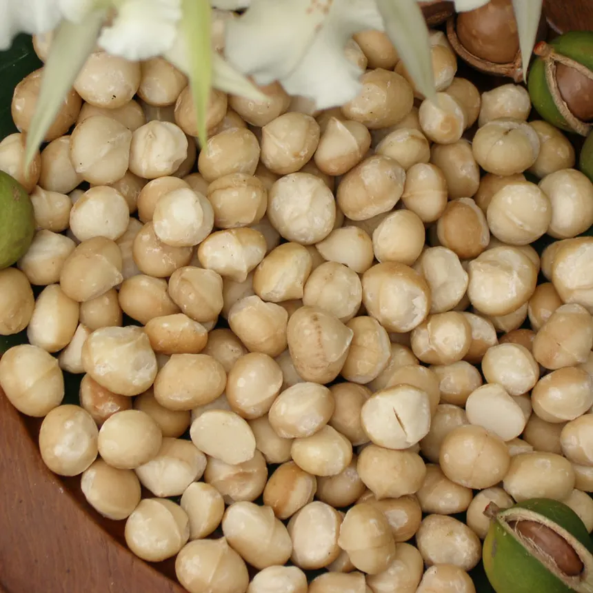 Macadamia Nuts (Raw & Processed)
