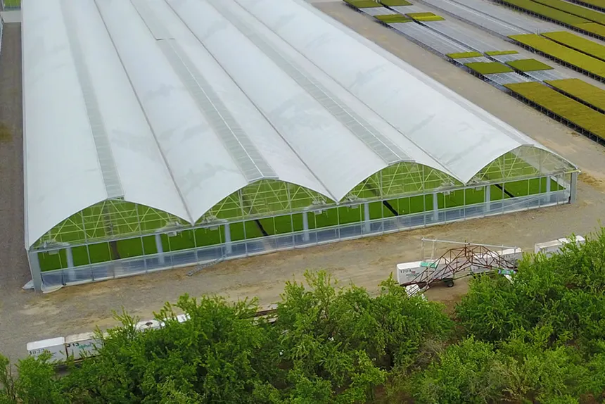 Commercial Greenhouse Structures